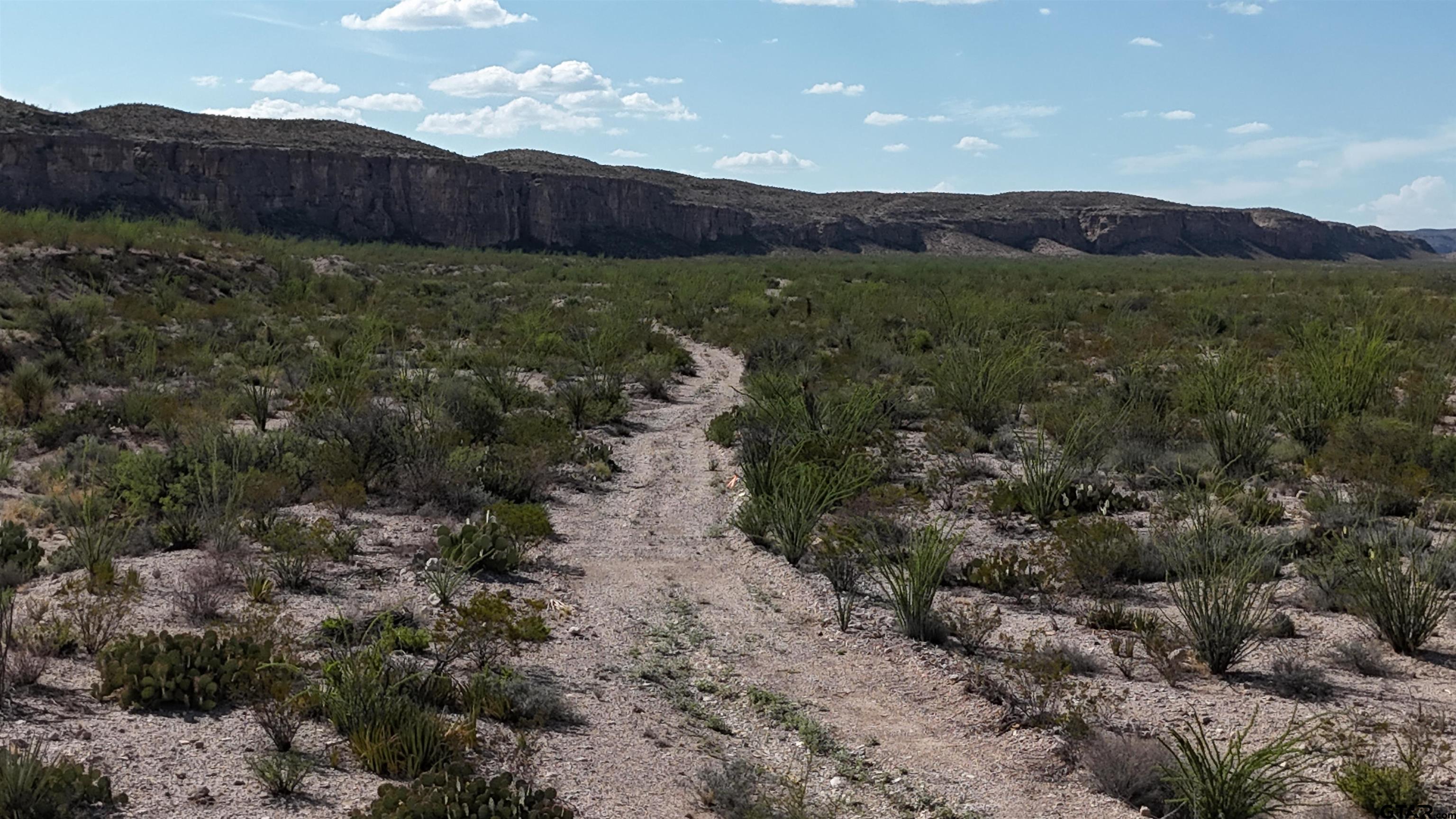 26885 Long Draw Terlingua, TX 79852 - Photo 12 of 28 a view of a lush green hillside and a building