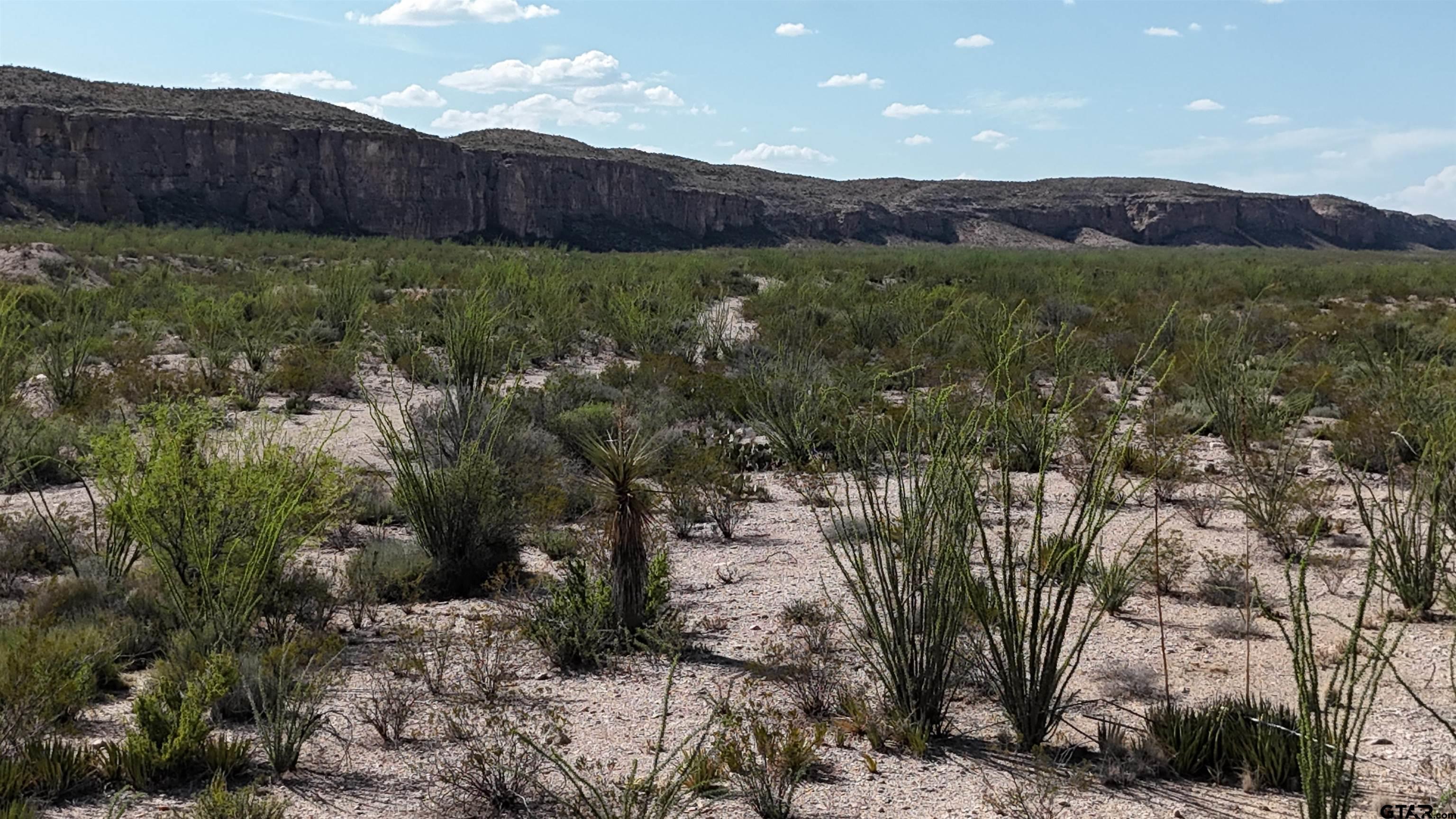 26885 Long Draw Terlingua, TX 79852 - Photo 14 of 28 a view of a back yard