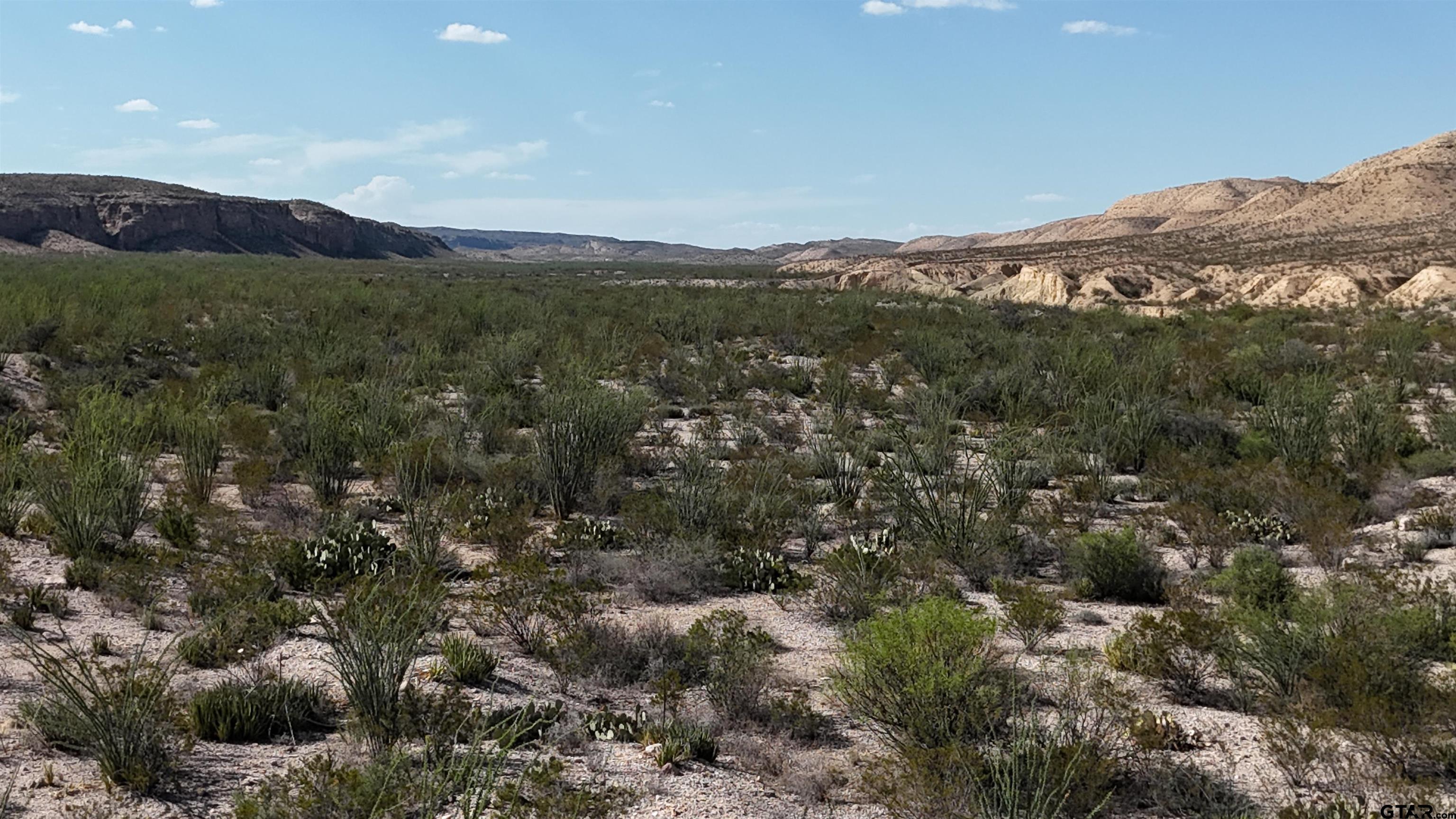 26885 Long Draw Terlingua, TX 79852 - Photo 16 of 28 a view of a mountain range with lush green forest