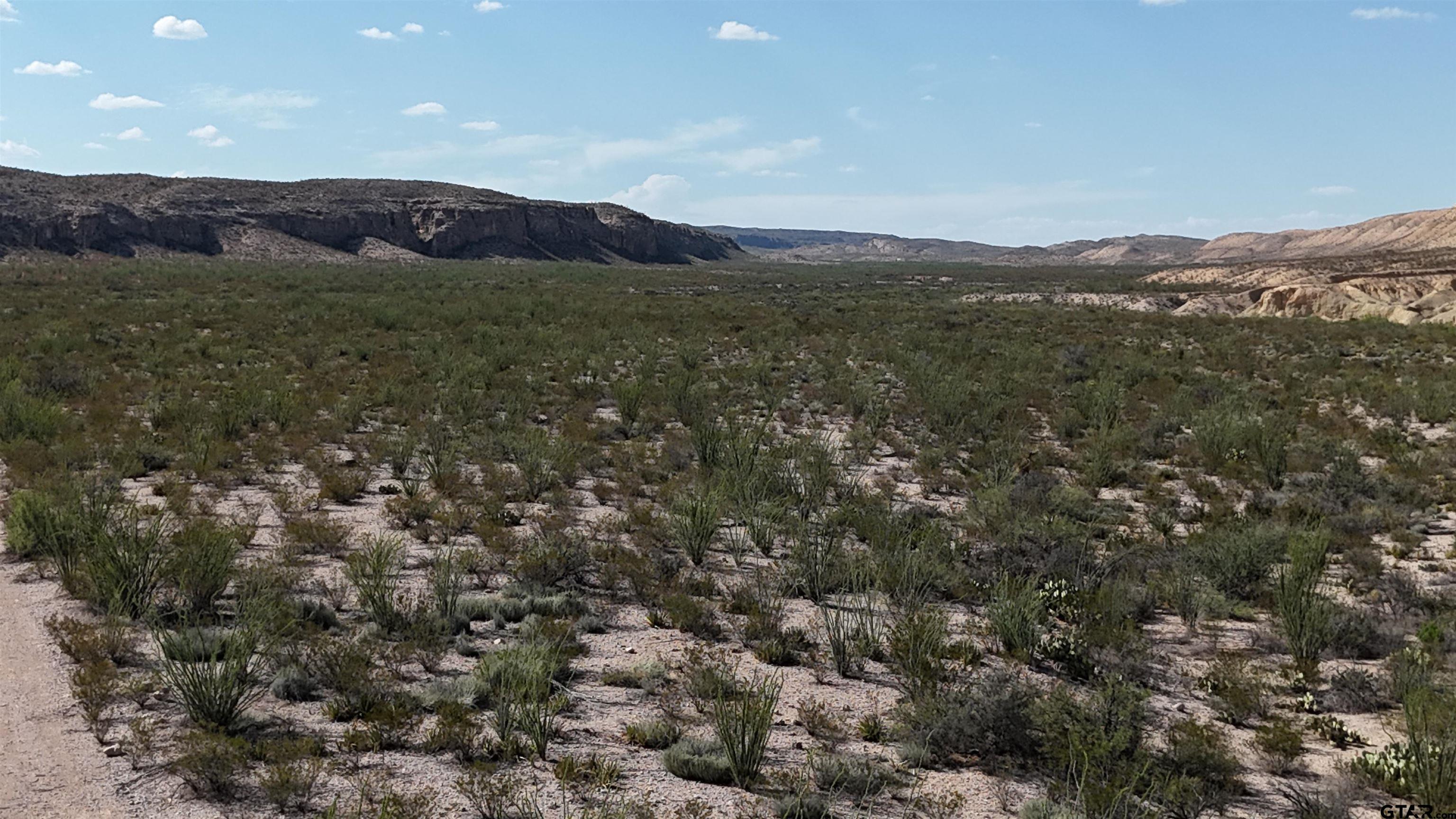 26885 Long Draw Terlingua, TX 79852 - Photo 19 of 28 a view of a mountain range with lush green forest