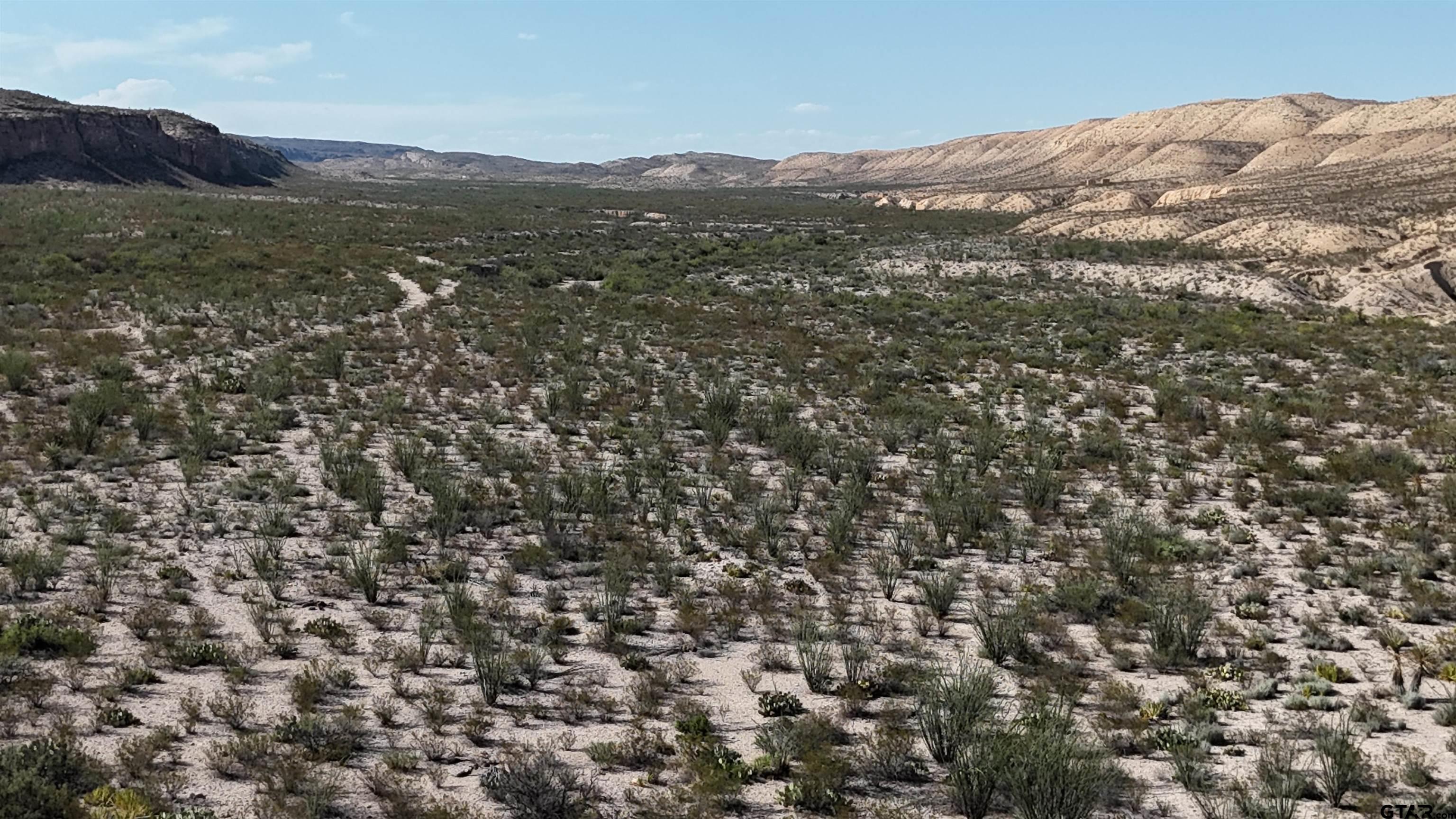 26885 Long Draw Terlingua, TX 79852 - Photo 22 of 28 a view of a field with a mountain in the background