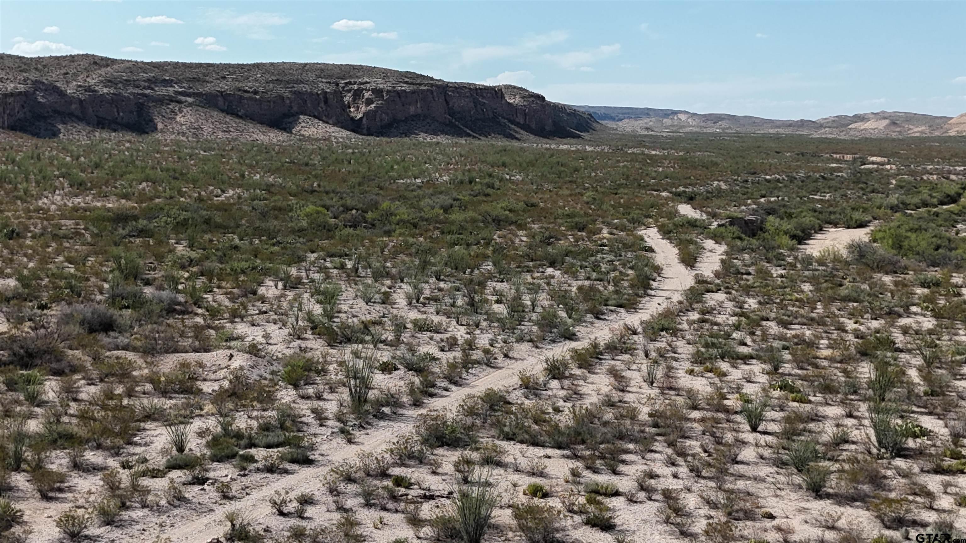 26885 Long Draw Terlingua, TX 79852 - Photo 23 of 28 a view of a field with a mountain in the background