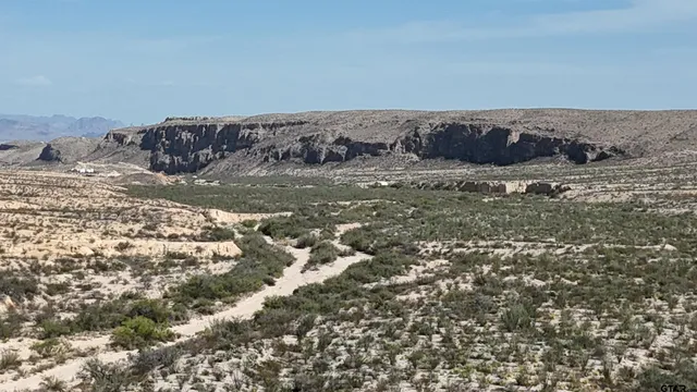 a view of a back yard