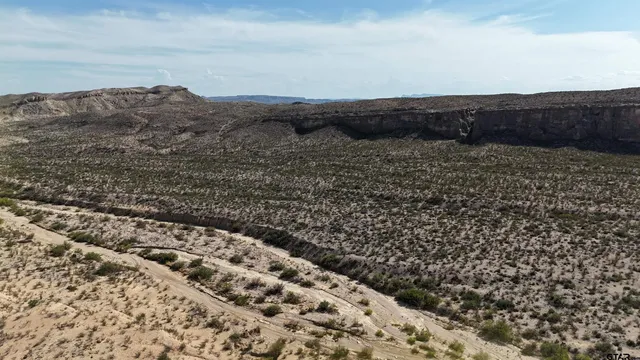 a view of a dry yard