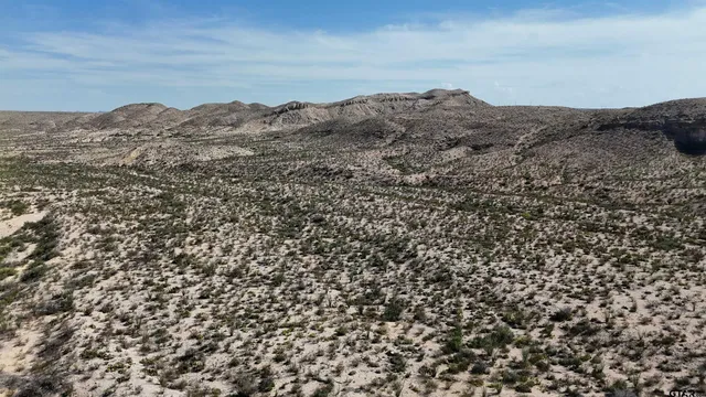 a view of a dry yard with wooden fence