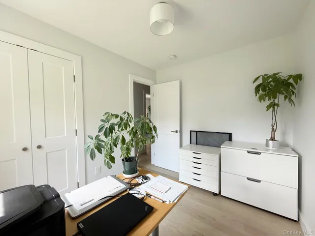 a living room with furniture and a potted plant