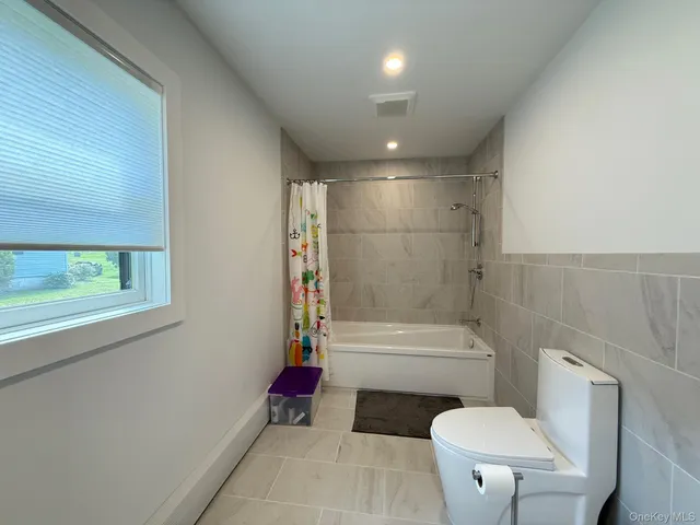 a bathroom with a toilet and a bathtub