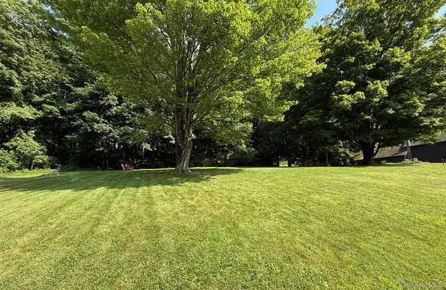 a view of a yard with a trees