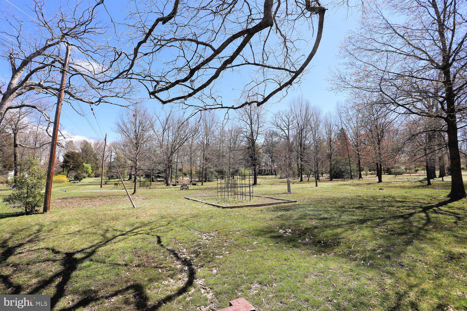 16 Maple Avenue Washington Grove, MD 20880 - Photo 45 of 58 Spacious lot framed by towering trees.