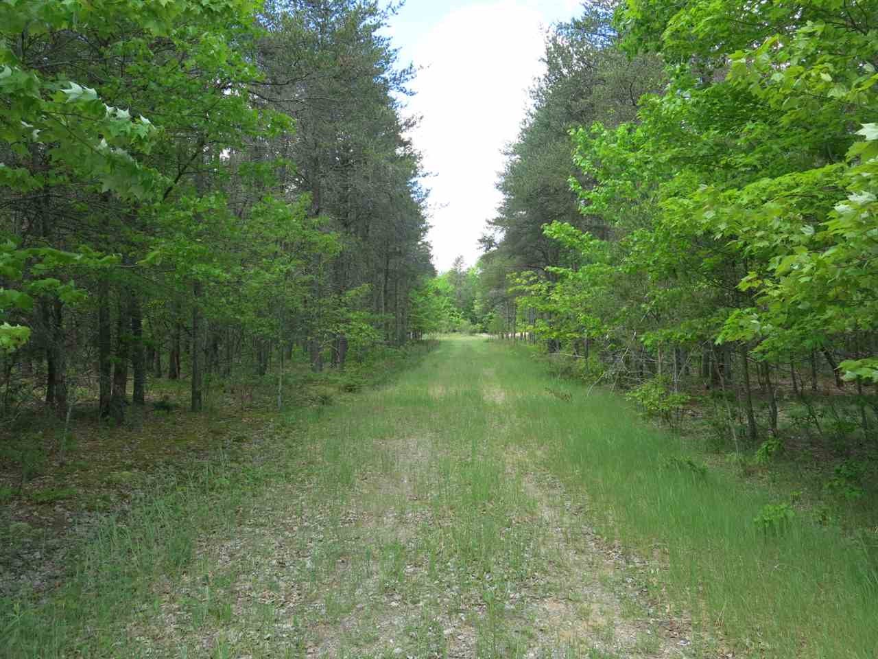 Xxx Murphy Road Roscommon, MI 48653 - Photo 1 of 1 Gallery Image 1