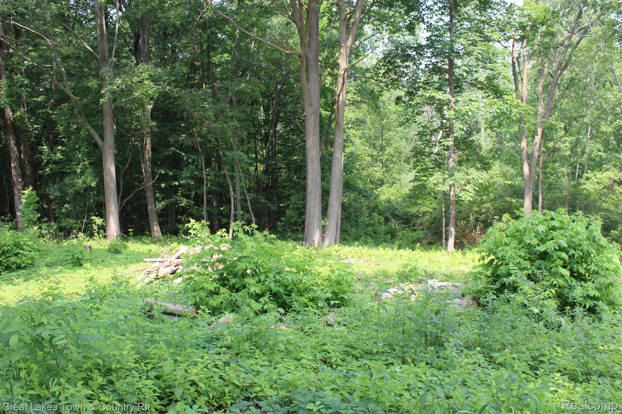 Parcel C Larson Road Attica, MI 48412 - Photo 4 of 5 Gallery Image 4