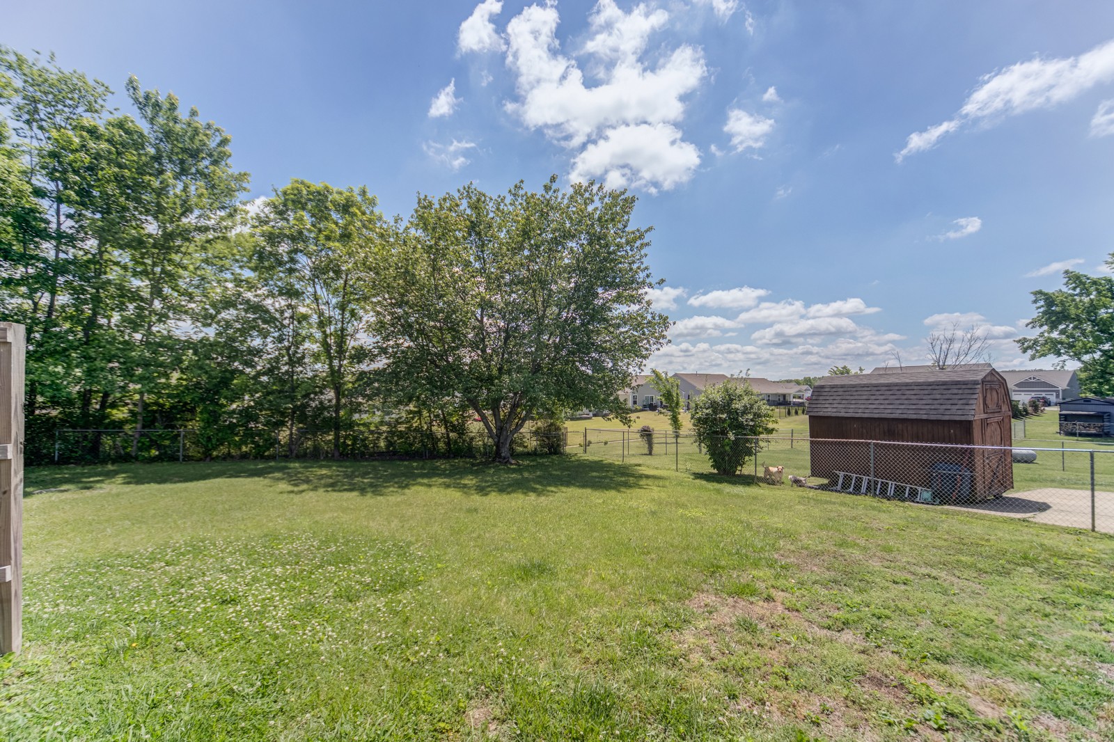 806 Calista Road White House, TN 37188 - Photo 48 of 51 Gallery Image 48