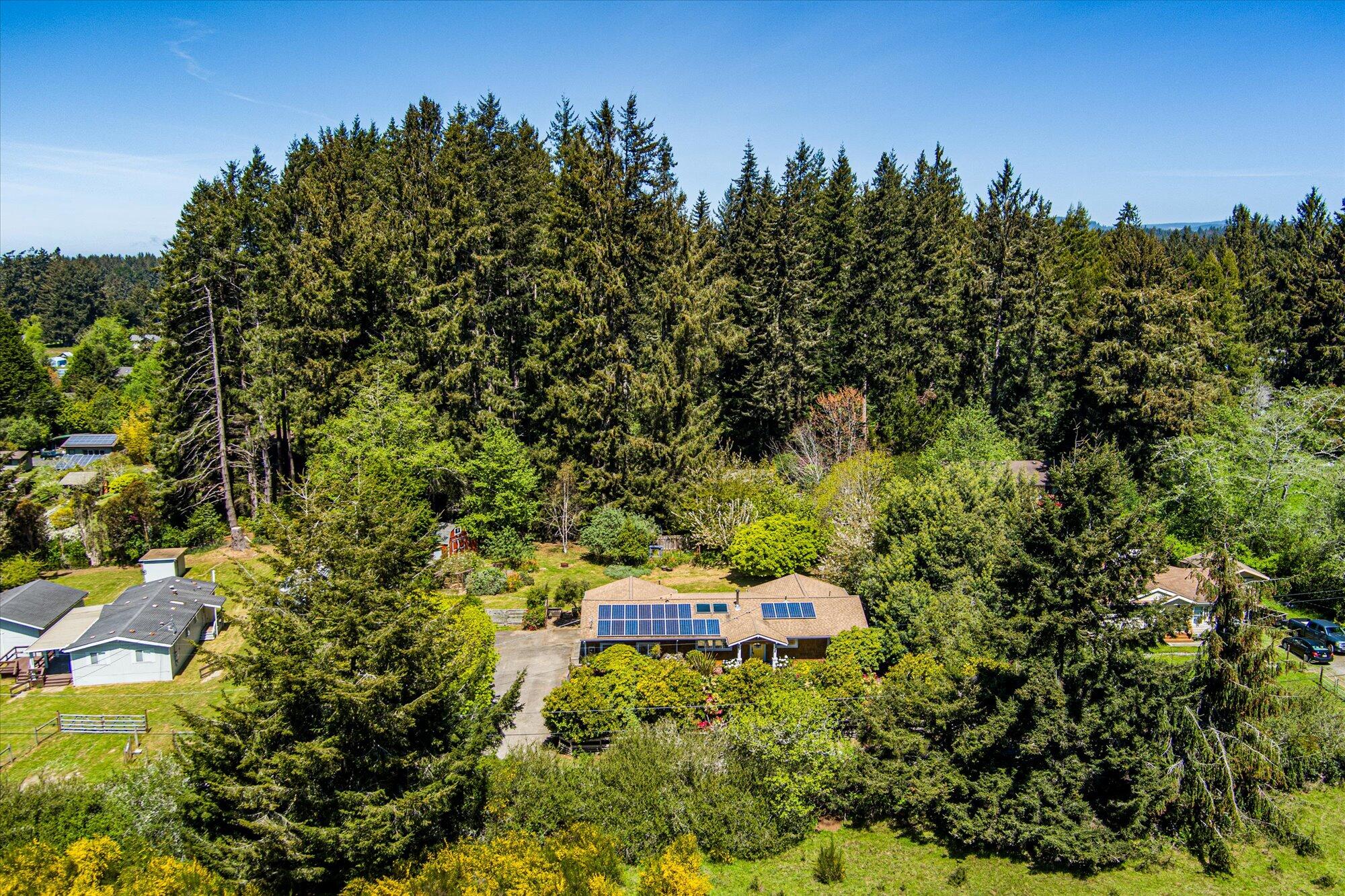 1945 Grange Road McKinleyville, CA 95519 - Photo 62 of 62 a backyard of a house with lots of green space