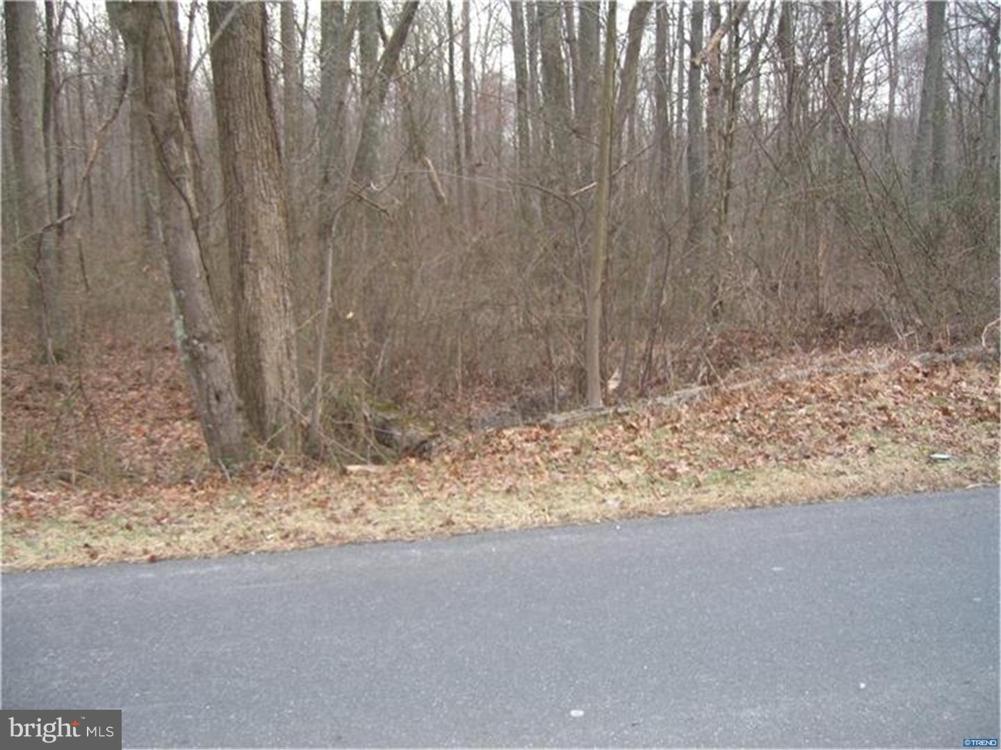 1399 Flat Iron Road Harrington, DE 19952 - Photo 5 of 11 Gallery Image 5
