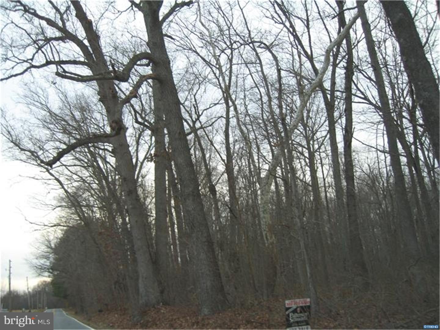 1399 Flat Iron Road Harrington, DE 19952 - Photo 6 of 11 Gallery Image 6