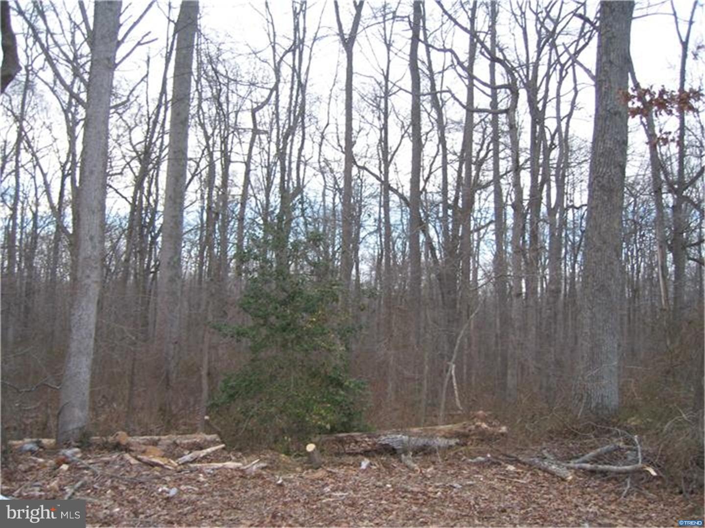 1399 Flat Iron Road Harrington, DE 19952 - Photo 9 of 11 Gallery Image 9