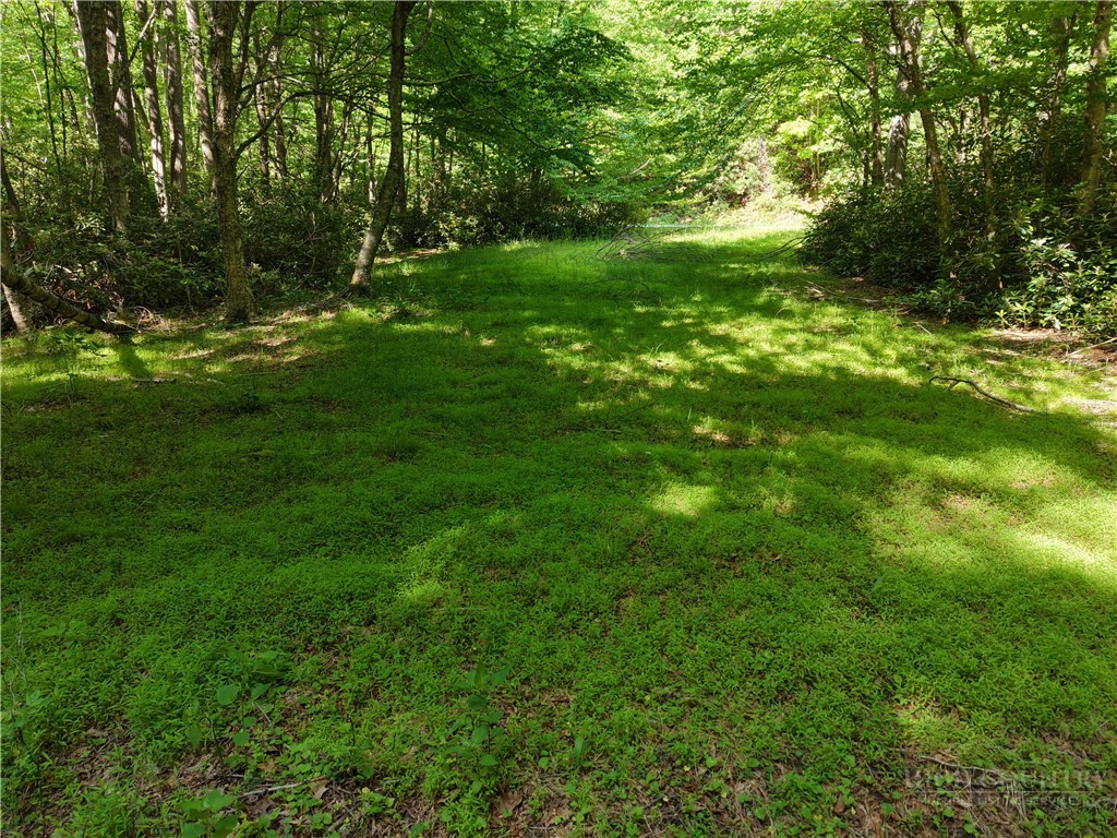 Cedar Lane Boone, NC 28607 - Photo 6 of 12 a backyard of a house with lots of green space