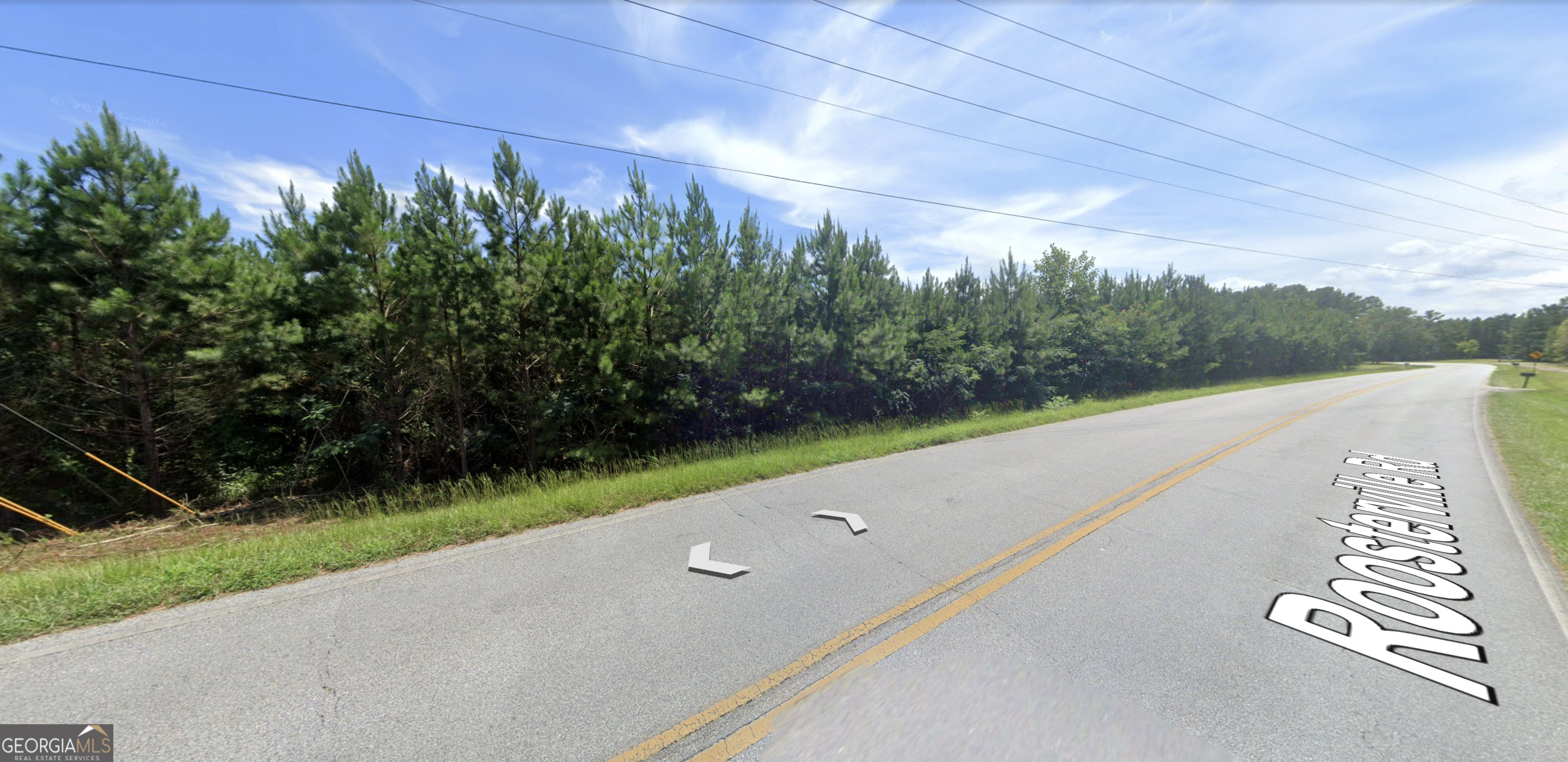 0 Roosterville Road, Unit TRACT 3 Roopville, GA 30217 - Photo 3 of 5 a view of a street with a garden