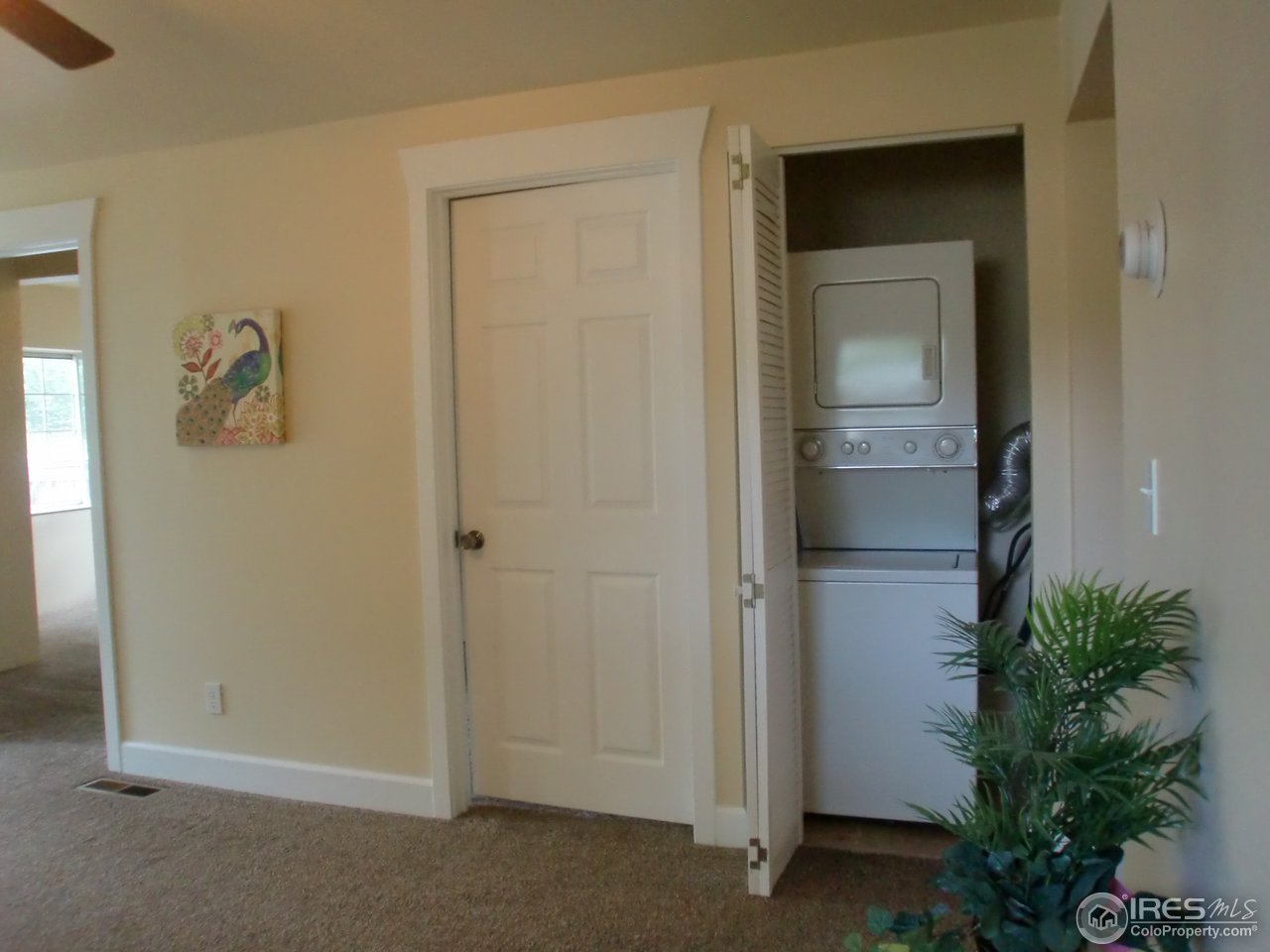 620 Maple Street Fort Collins, CO 80521 - Photo 5 of 17 Washer/Dryer included