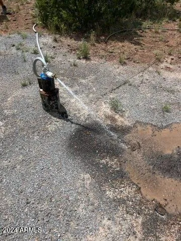 a view of a dry yard with wooden floor