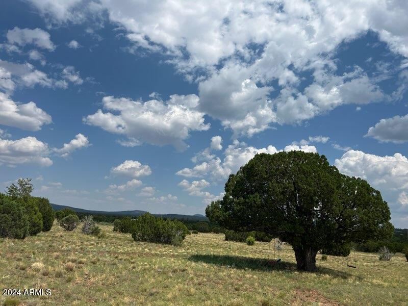 87 N3625 Vernon, AZ 85940 - Photo 14 of 27 a view of a yard