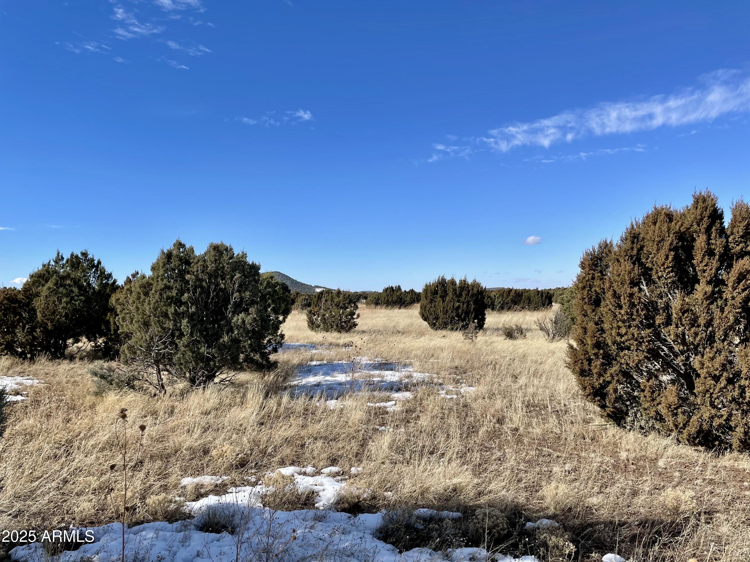 87 N3625 Vernon, AZ 85940 - Photo 26 of 27 a view of a snow on a field