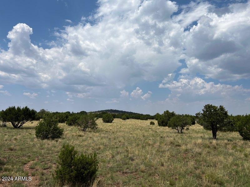 87 N3625 Vernon, AZ 85940 - Photo 6 of 27 a view of a sky