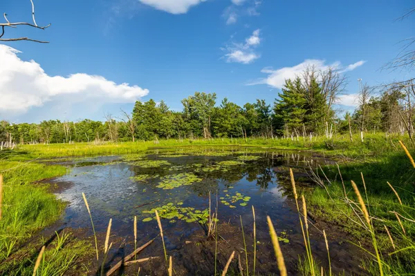 $839,000 | 5788 County Road C, Danbury, WI 54830