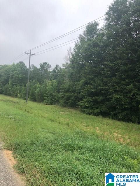 Berney Station Road, Unit 9 5 Lineville, AL 36266 - Photo 1 of 5