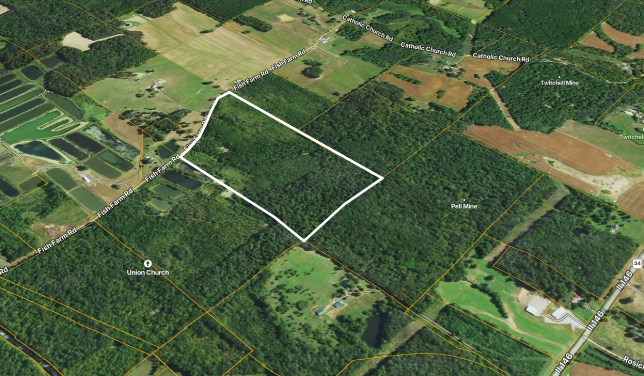 70 Fish Farm Road Golconda, IL 62938 - Photo 11 of 19