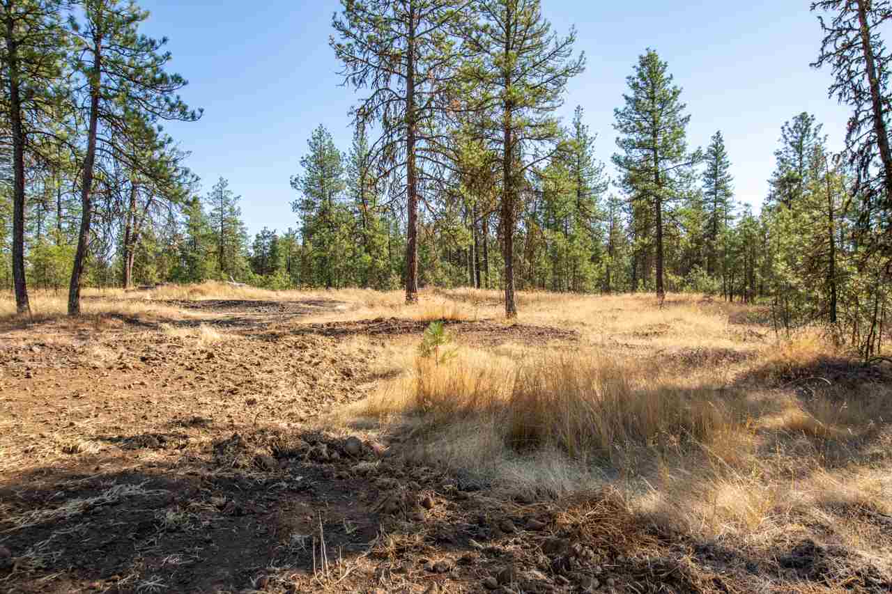 1323 West Depot Springs Road Spangle, WA 99031 - Photo 30 of 31