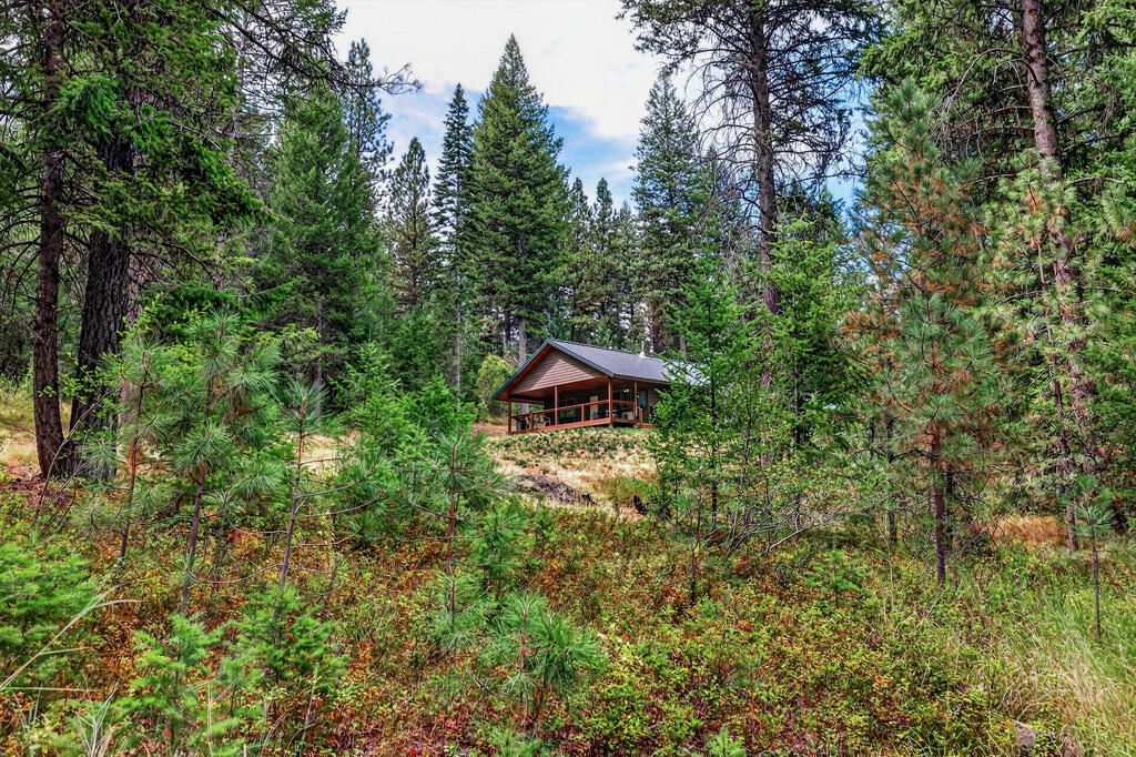 4025 Little Salmon Road New Meadows, ID 83654 - Photo 3 of 62 Gallery Image 3