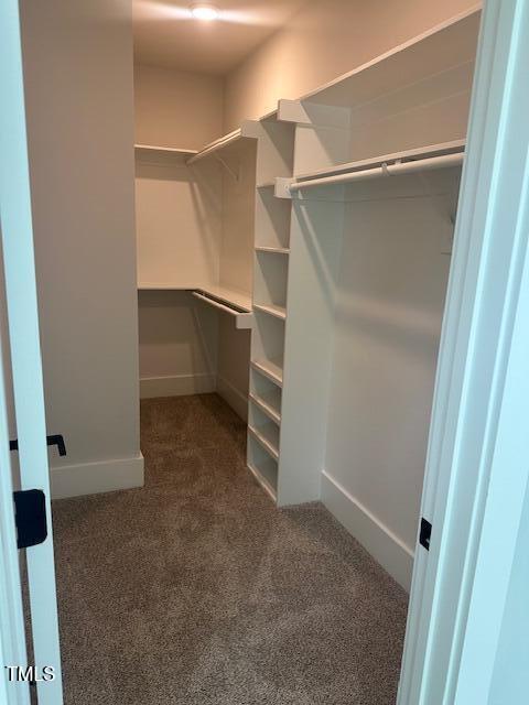 9000 Penny Road Raleigh, NC 27606 - Photo 20 of 32 Closet
