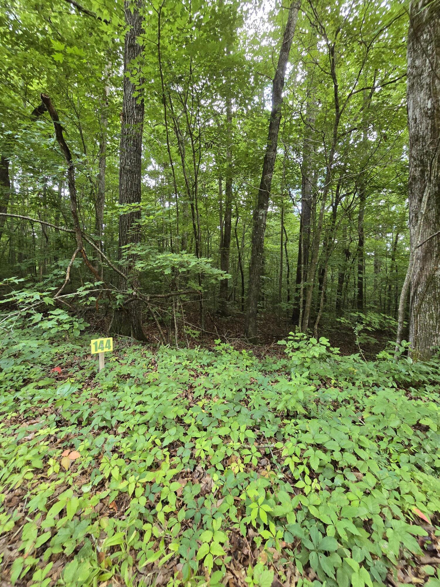 Lot 144 Lower Brow Road Dunlap, TN 37327 - Photo 4 of 6 20260716_155414
