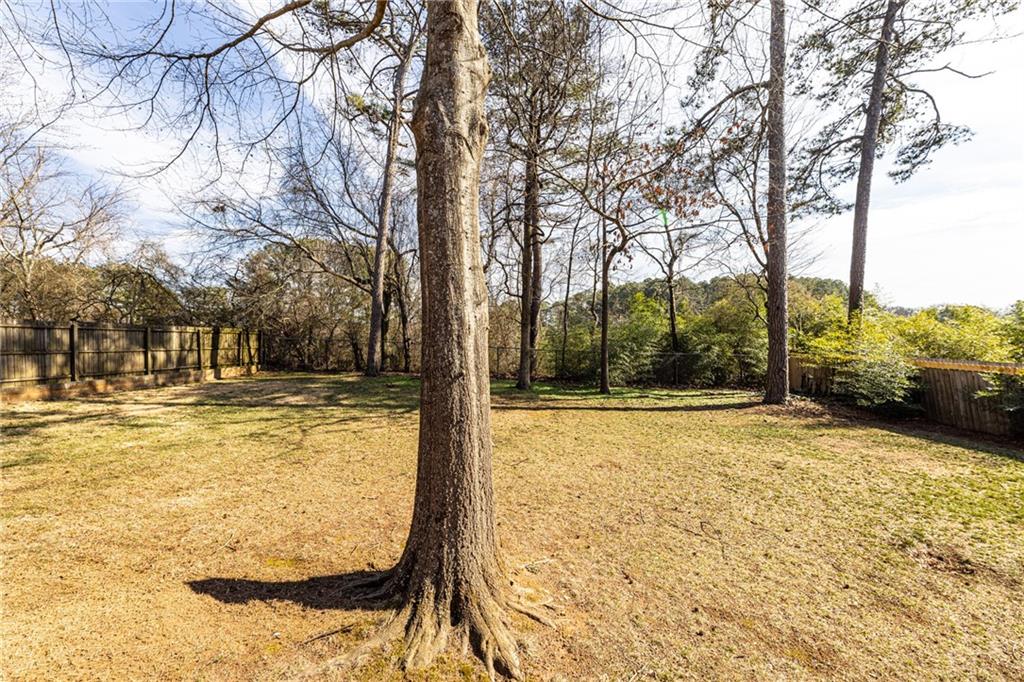 1231 Sanden Ferry Drive Decatur, GA 30033 - Photo 22 of 30