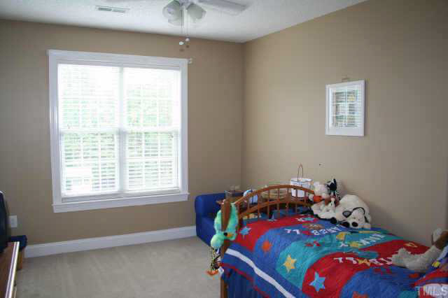 2844 Prairie View Point Wendell, NC 27591 - Photo 5 of 10 Other