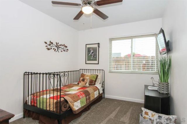 a bedroom with furniture and windows