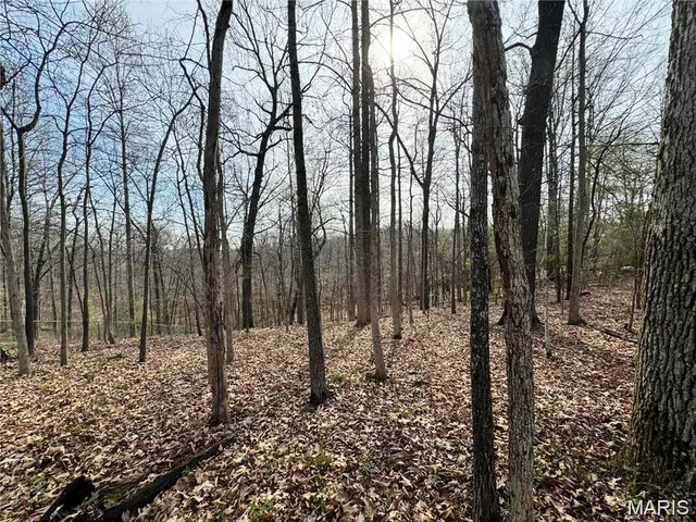 $17,500 | 685 Radcliff Lane, East St. Louis, IL 62201