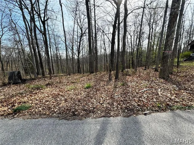 $17,500 | 685 Radcliff Lane, East St. Louis, IL 62201