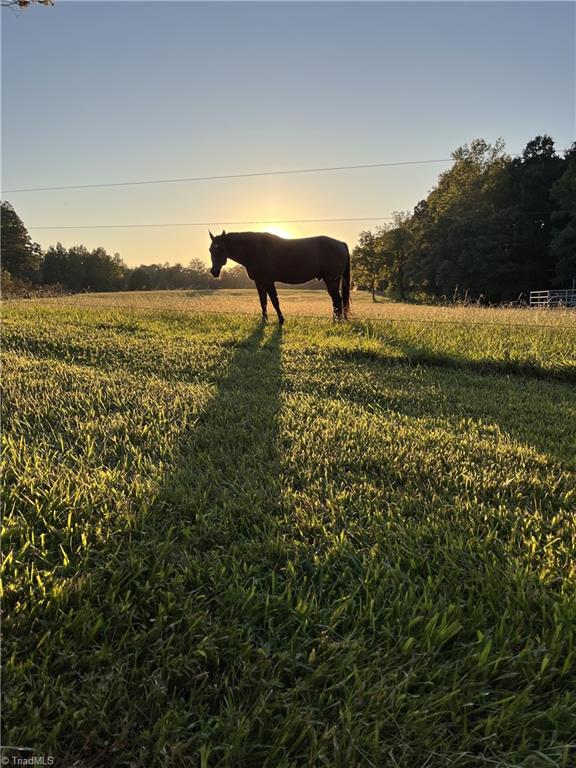 4794 Troy Smith Road Liberty, NC 27298 - Photo 39 of 49