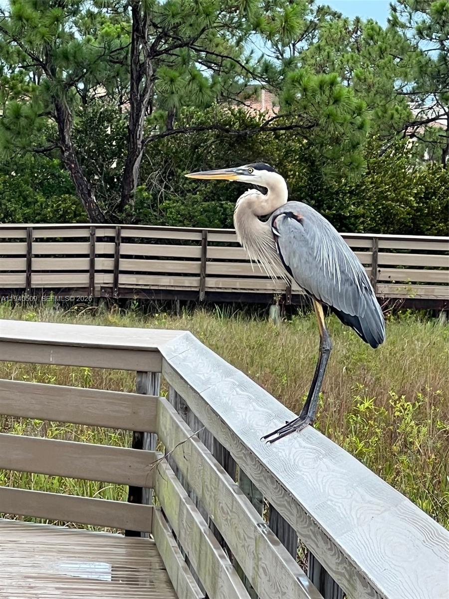 184 West Bay Cedar Circle Jupiter, FL 33458 - Photo 37 of 49