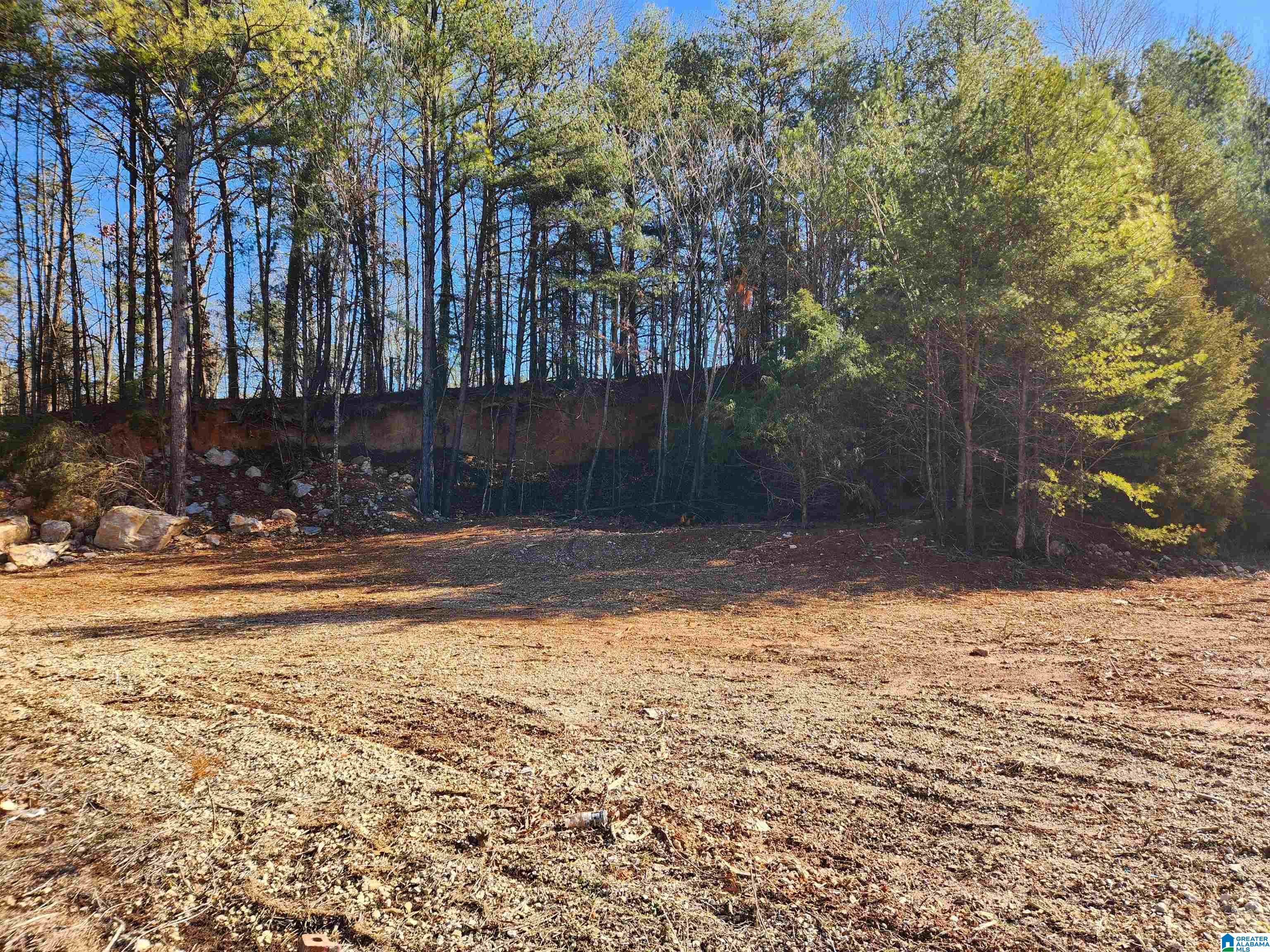 0 Spring Creek Road, Unit 3 Columbiana, AL 35051 - Photo 4 of 14