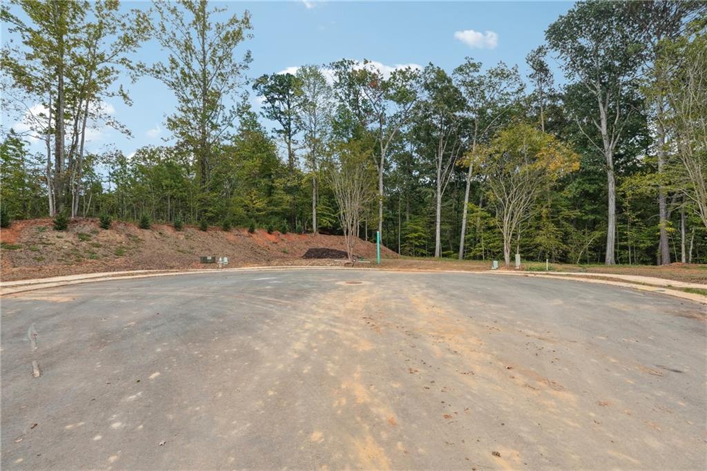 4510 Muskogee Court Cumming, GA 30040 - Photo 18 of 22 a view of outdoor space with trees all around
