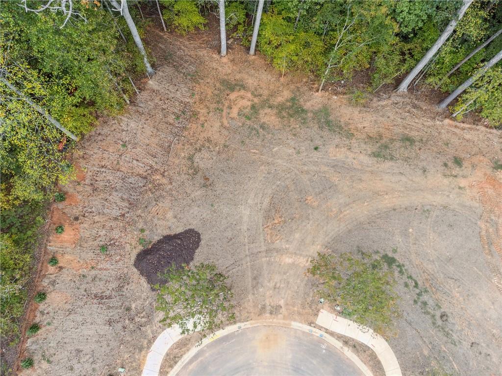 4510 Muskogee Court Cumming, GA 30040 - Photo 19 of 22 a backyard with plants and trees