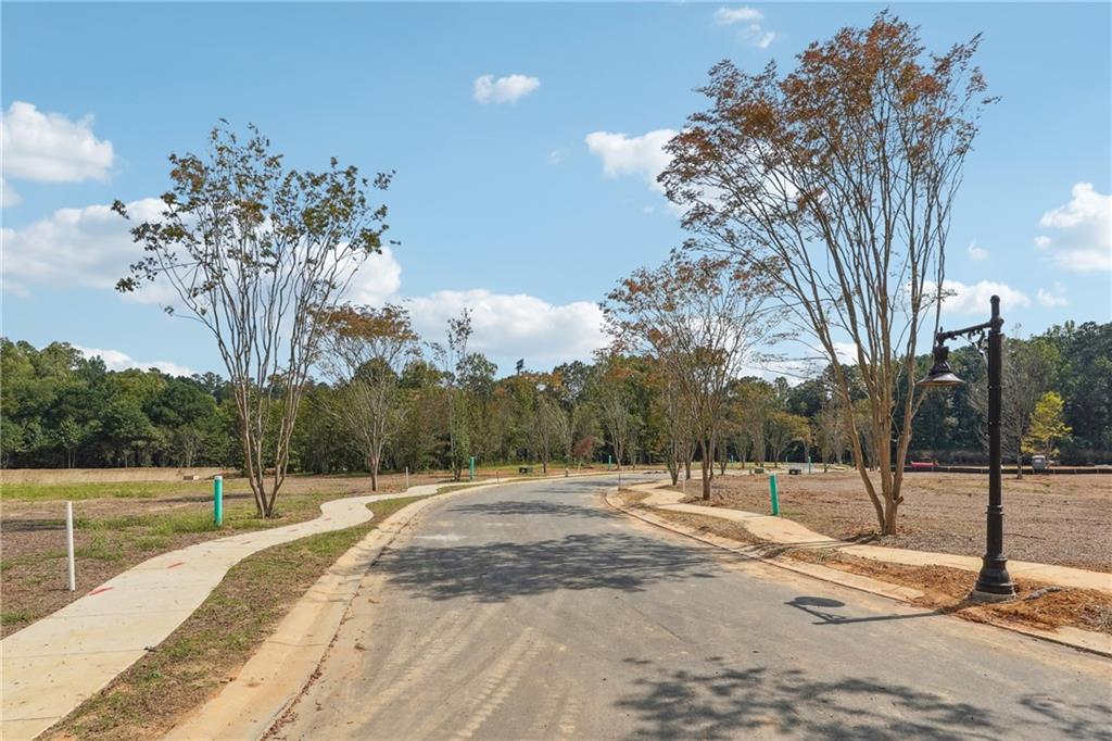 4510 Muskogee Court Cumming, GA 30040 - Photo 7 of 22 a view of a park with trees