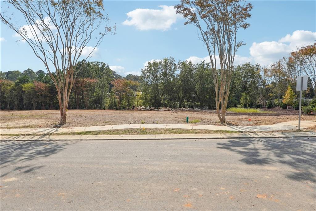 4510 Muskogee Court Cumming, GA 30040 - Photo 8 of 22 a view of a fountain is middle in the middle of a yard