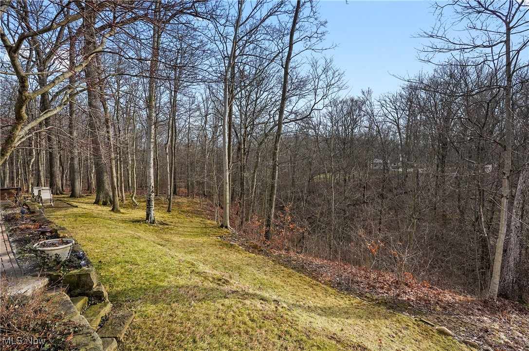 2910 Oxbow Road Richfield, OH 44286 - Photo 42 of 46