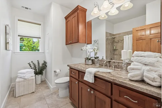 a view of a lush green forest