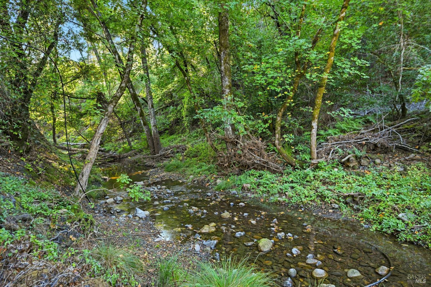 5251 Dry Creek Road Napa, CA 94558 - Photo 33 of 61