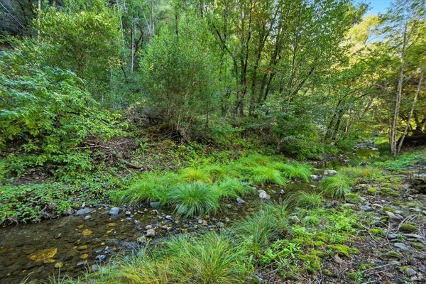 $1,549,000 | 5251 Dry Creek Road, Napa, CA 94558